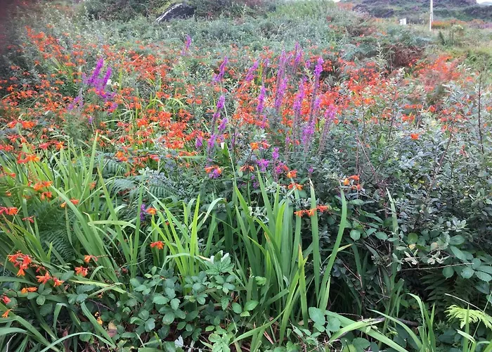 Seaview Reenellen Апартаменты